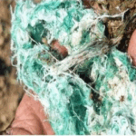 Screenshot from 2025-05-23 14-42-49