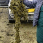 Screenshot from 2025-05-23 14-43-10